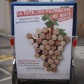 Communication sur Arles:les vignerons choisissent Taco and Co Communication sur Arles:les vignerons choisissent Taco and Co