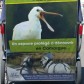 Les Marais du Vigueirat, une reserve naturelle en Camargue Les Marais du Vigueirat, une reserve naturelle en Camargue