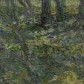 « Sous-bois » de Vincent Van Gogh à découvrir à la Fondation Vincent Van Gogh d’Arles « Sous-bois » de Vincent Van Gogh à découvrir à la Fondation Vincent Van Gogh d’Arles