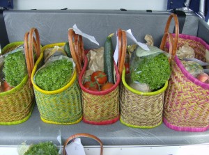 Livraison écologique à Arles