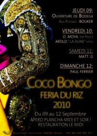 Read more about the article Féria du riz 2010 à Arles et le Coco Bongo