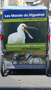 Lire la suite à propos de l’article Les Marais du Vigueirat, une reserve naturelle en Camargue