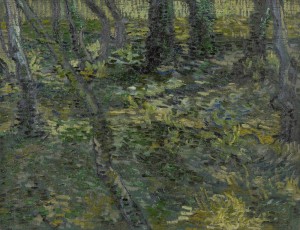 Read more about the article « Sous-bois » de Vincent Van Gogh à découvrir à la Fondation Vincent Van Gogh d’Arles