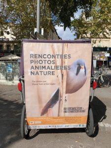 Lire la suite à propos de l’article Les rencontres photographiques animalières et de nature jusqu’au 27 Octobre 2019