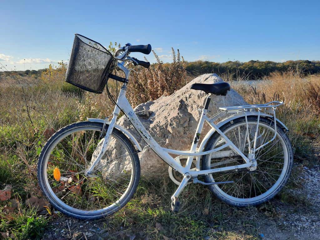 Nouveaux vélos (6)